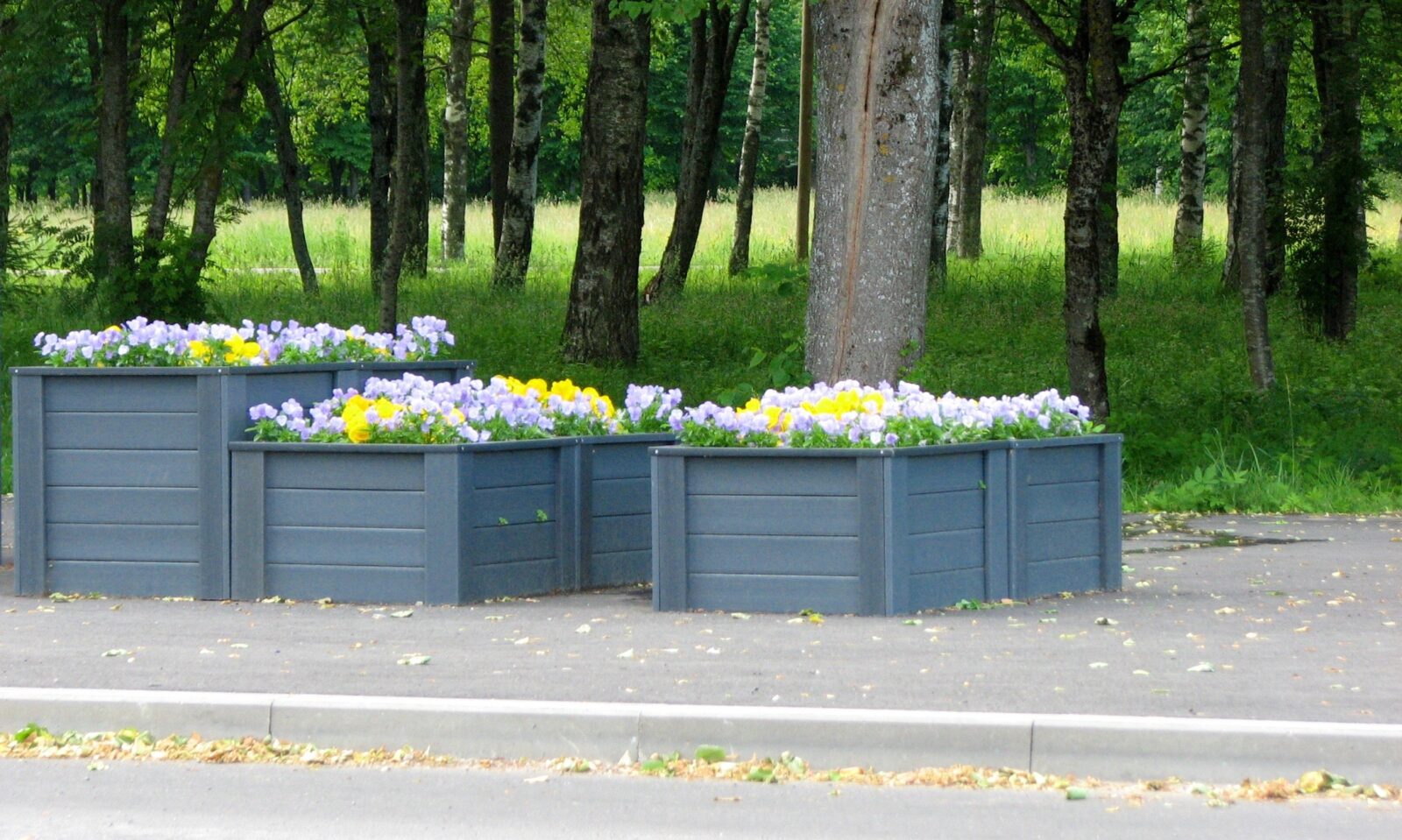 Lillekastid lilledega kõnniteel