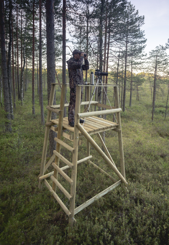 Jahitorn Elenor looduses jahimehega