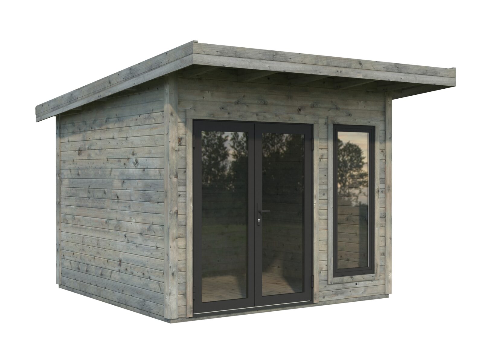 Aurelia_8.4_m2_GYDIP