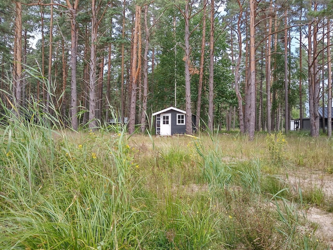 Aiamaja rannast